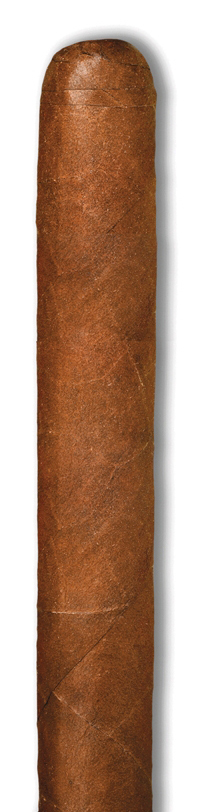 Tatuaje Havana VI Verocu No. 5