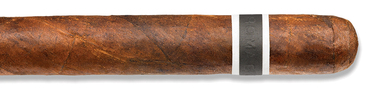 CroMagnon Anthropology