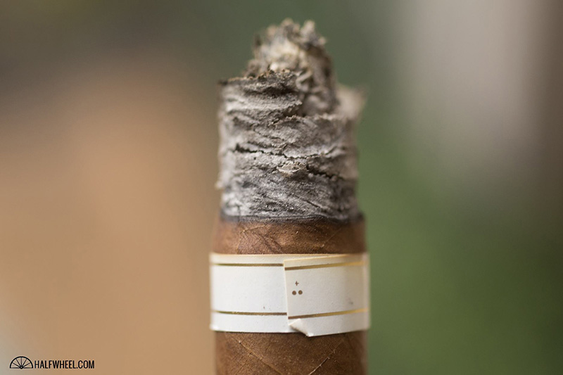 Davidoff Especiales > Robusto Real burn