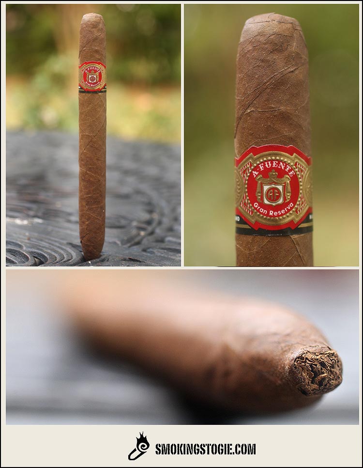 阿图罗富恩特海明威不为人知的故事喀麦隆 ARTURO FUENTE HEMINGWAY UNTOLD STORY CAMEROON