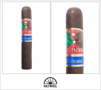 HECHICERA MADURO ROBUSTO 雪茄