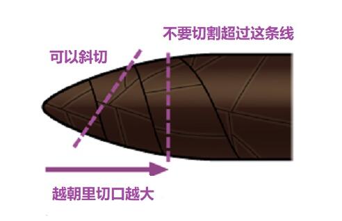 雪茄怎么剪口