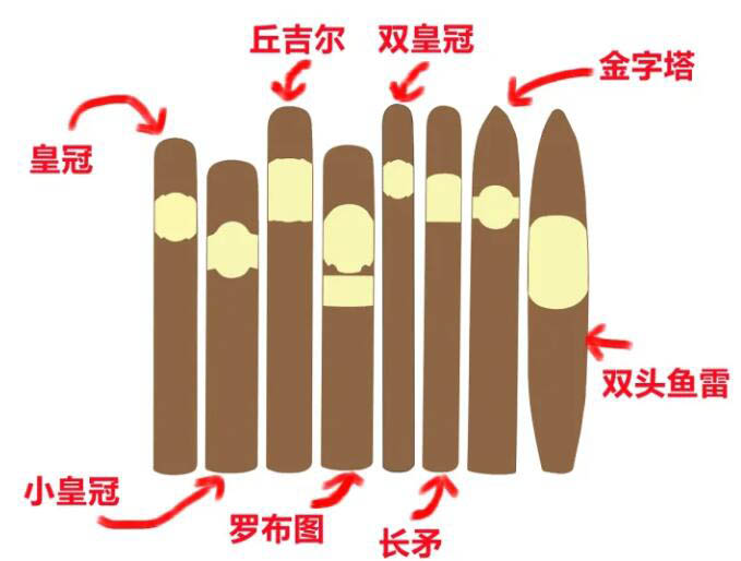 雪茄尺寸,雪茄常见的型号尺寸大全,雪茄尺寸对照表,雪茄尺寸环径直径大全,雪茄的尺寸有什么标准,雪茄公牛尺寸,环径50雪茄直径是多少,雪茄的尺寸换算方法,如何挑选合适尺寸的雪茄,雪茄的尺寸大全,雪茄的规格有几种,